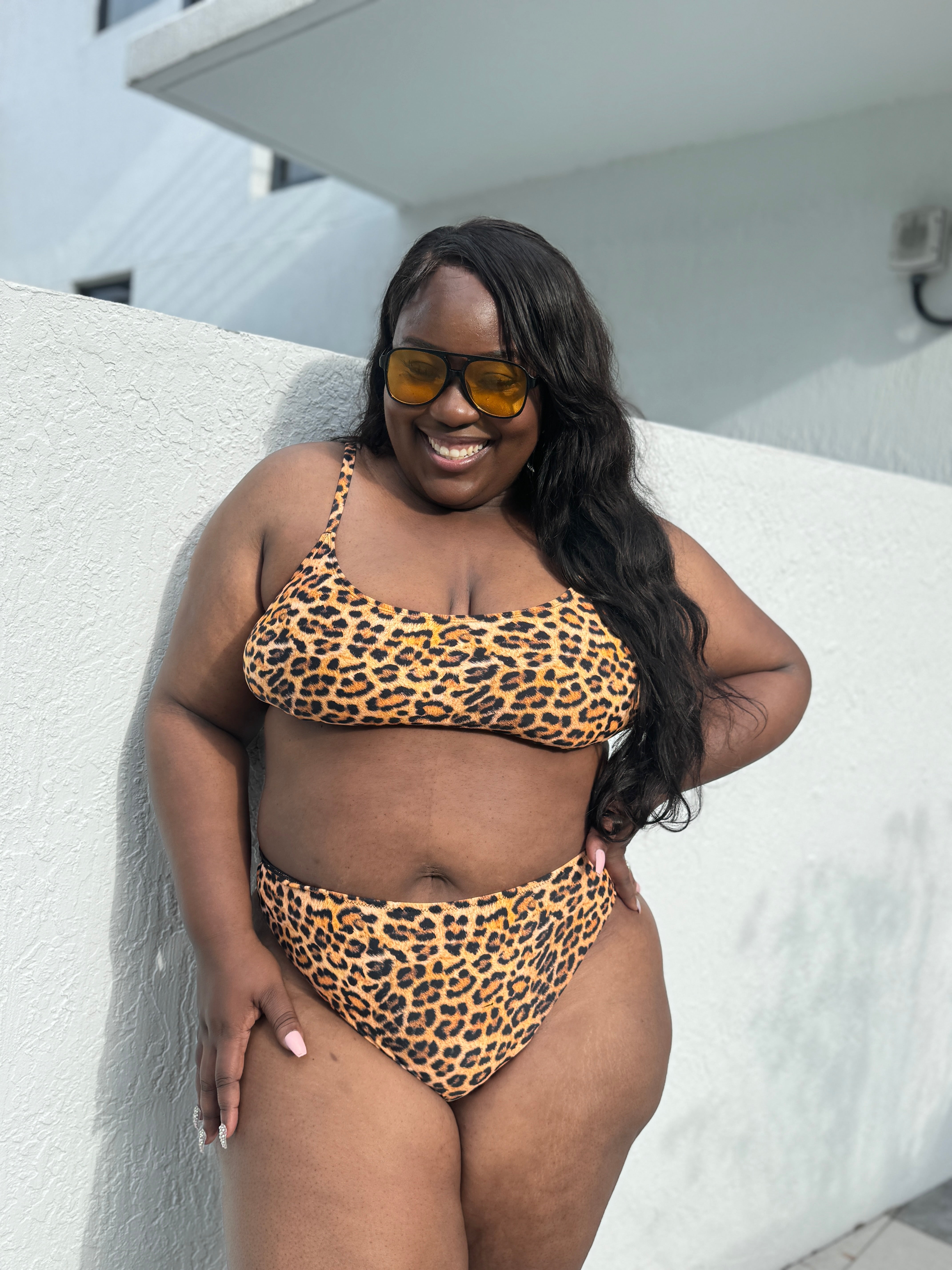 Feisty Feline High Waist Cheeky