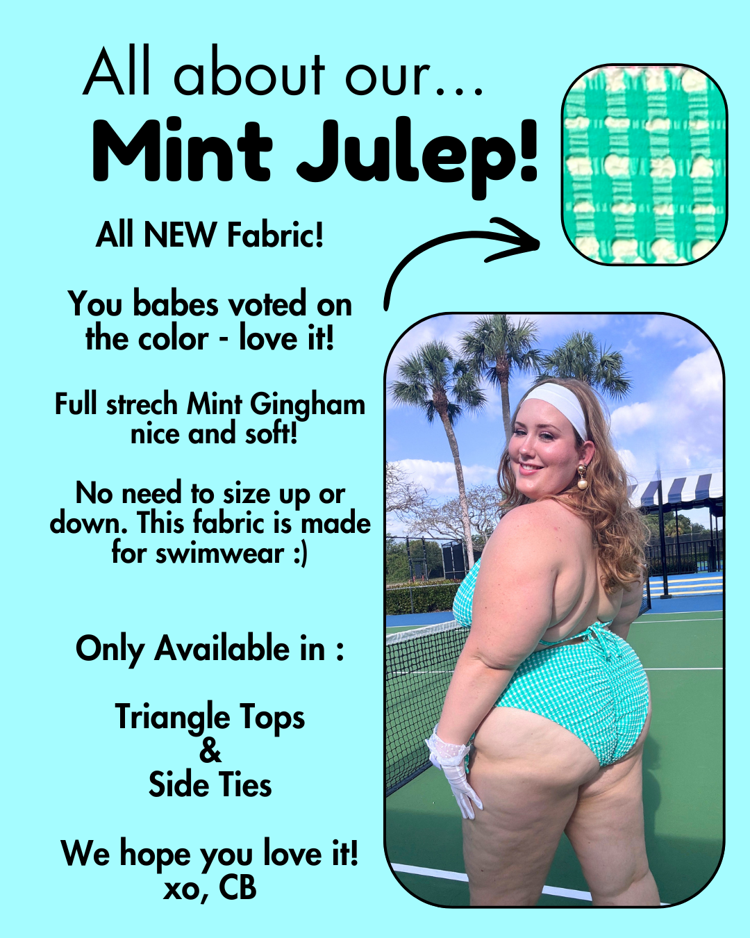 Mint Julep Gingham Triangle Bikini Top
